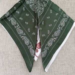 Red and green scarf with paisley pattern